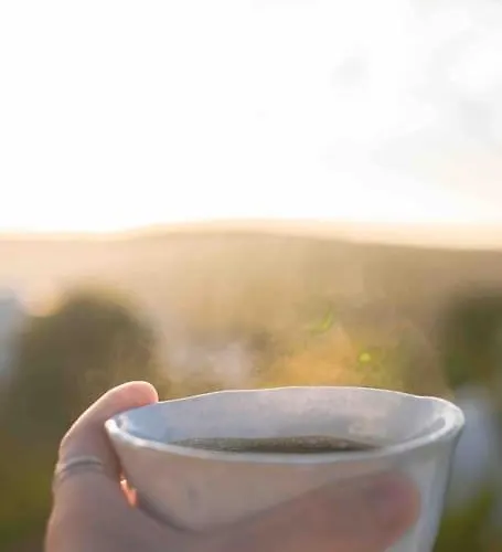 Ocean View * Буденш